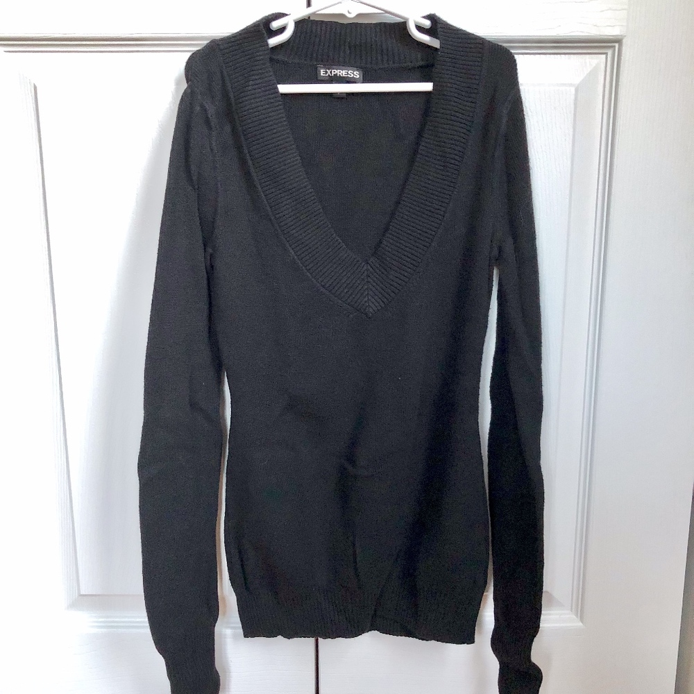 Express Fitted V-Neck Sweater